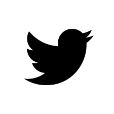 Solbian – Twitter logo
