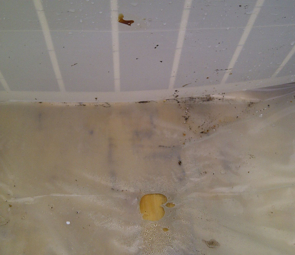 Hot spot on the back of the Polish panel